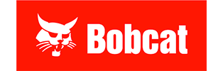bobcat